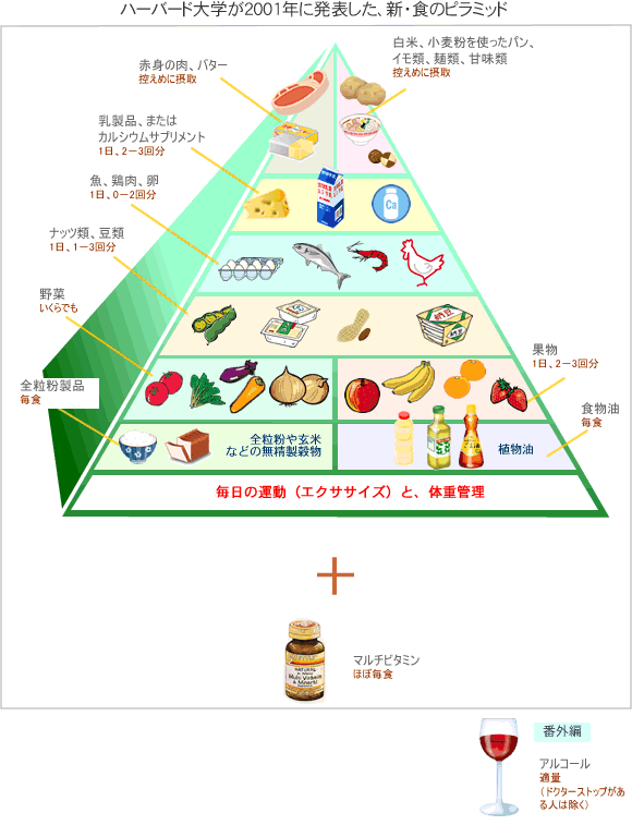 新たな食のピラミッドとの作成。